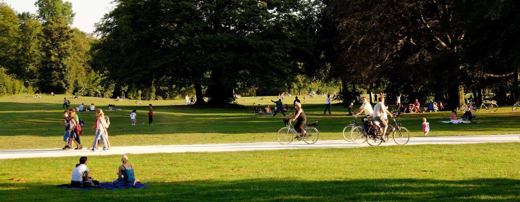 People riding bikes and walking in a park
