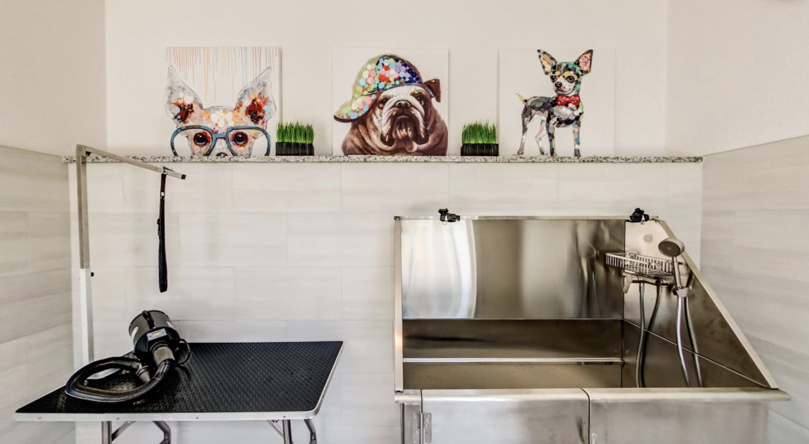 Pet spa grooming station at pet friendly apartments in North Austin TX