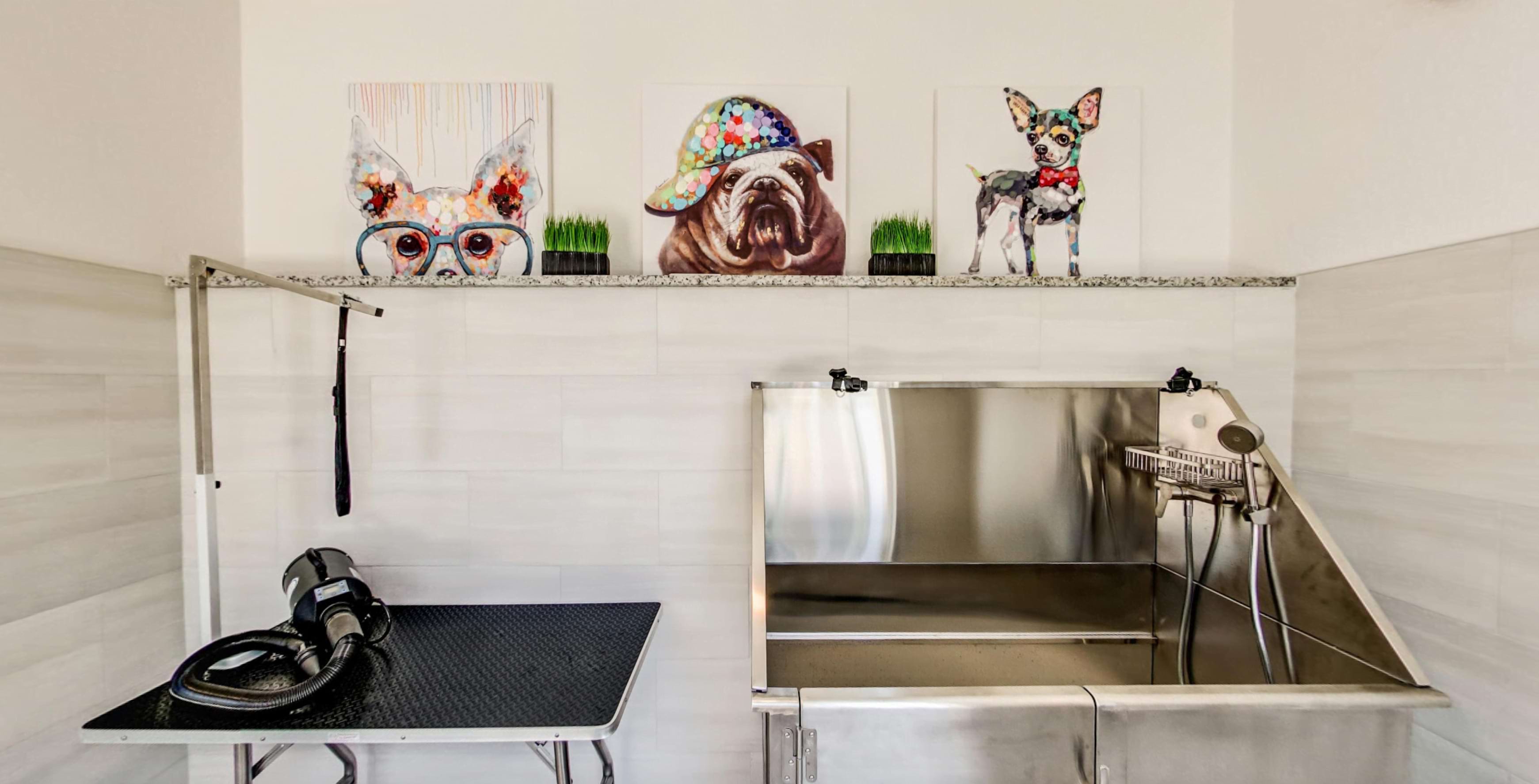 Luxury Apartments in Austin Image 4